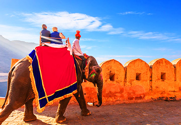 Amer Fort Elephant