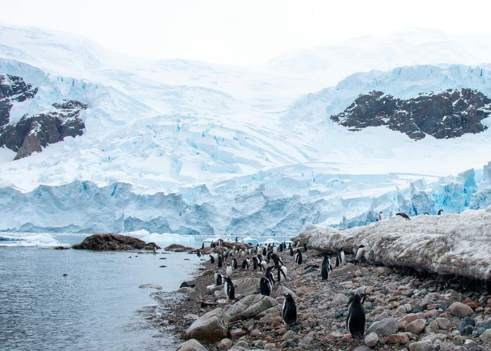 Antarctic 1