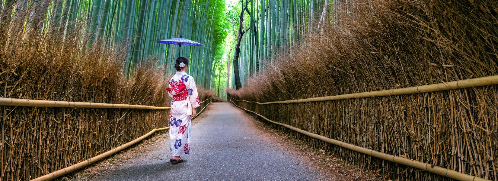 Arashiyama Bamboo Forest japan
