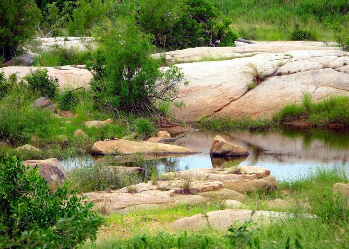 Kruger National Park