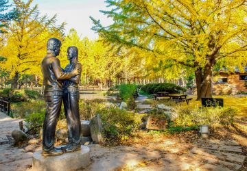 Nami Island (Namiseom), a popular tourist destination in Chuncheon