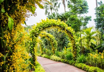botanical garden