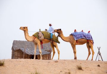 desert safari dubai