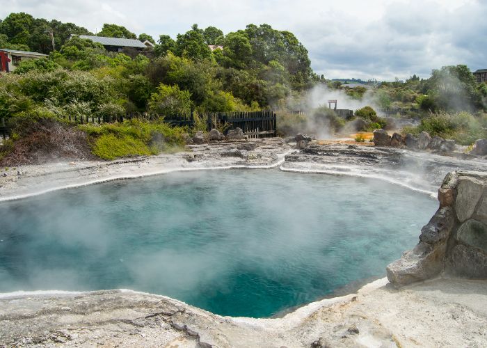 geothermal hot spring at Te Puia in Rotorua