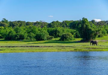 Chobe National Park, Botsuana
