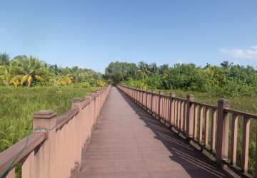 Fuvahmulah wetland nature park in the maldives
