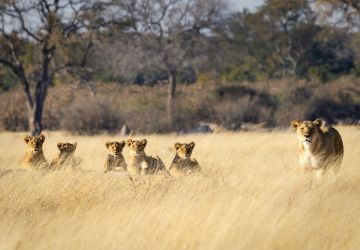 Hwange National Park
