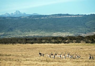 Mount Kenya,