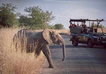 Pilanesberg National Park