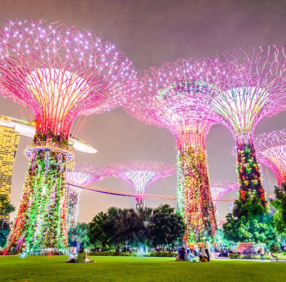 Supertree Grove at Gardens by the Bay in Singapore