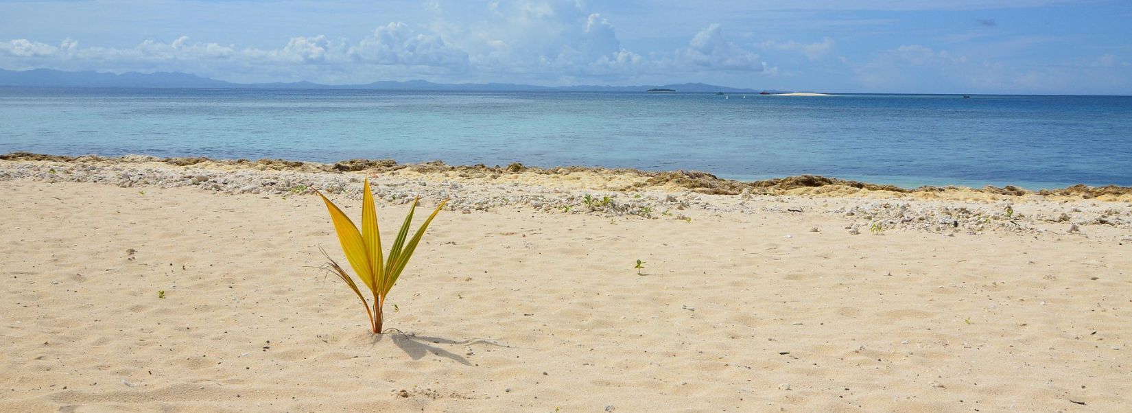 islands of Fiji.