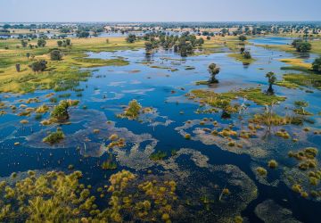 savanna in botswana africa